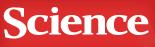 Science Biología